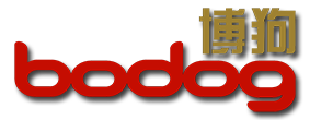 Bodog88 Review