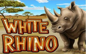 White Rhino Video Slots by Realtime gaming