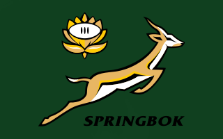 Rugby championships, Ellis Park South Africa. the Springboks versus the All Blacks